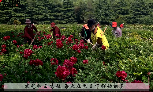 QQ؈D20190430174719.png